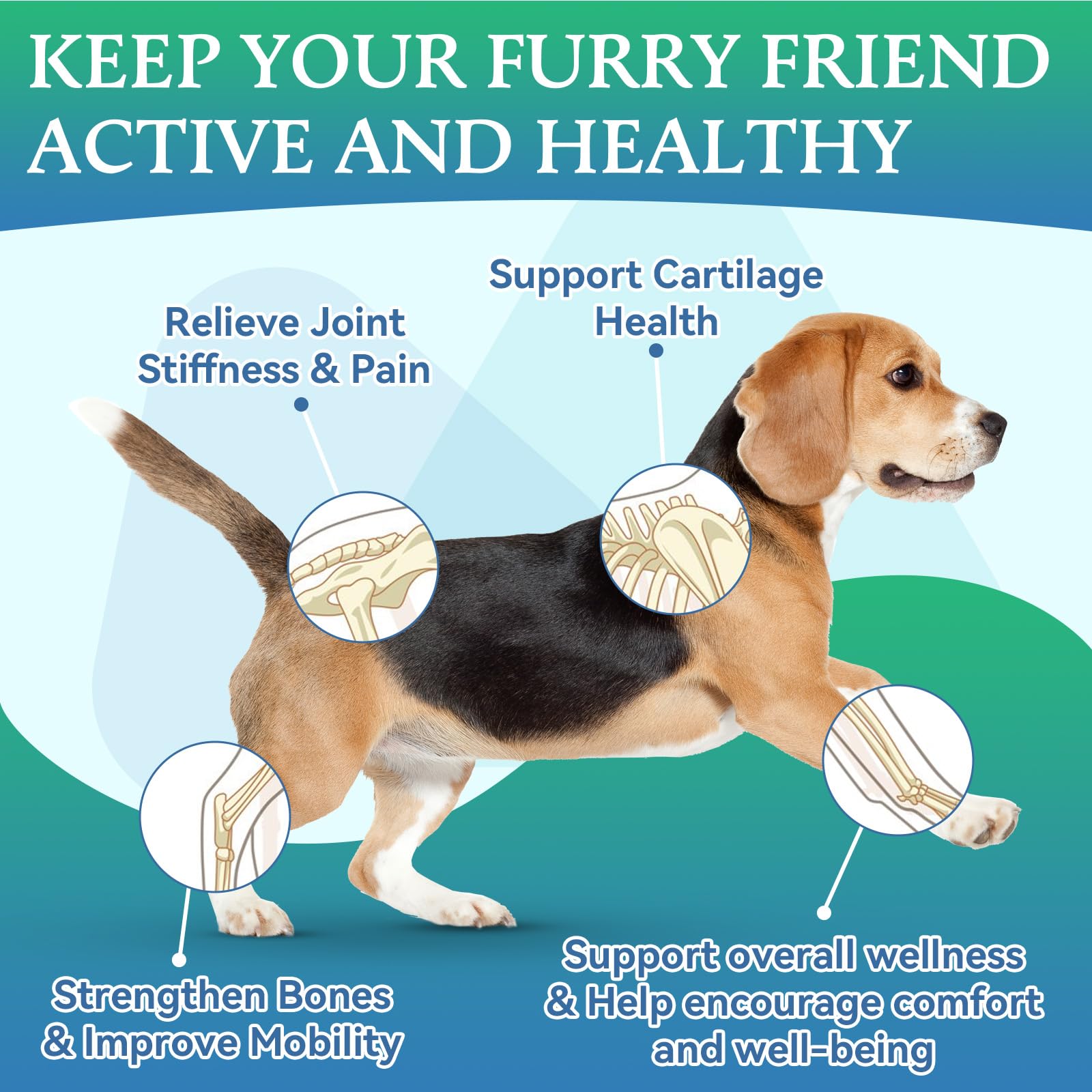 WEALLIN dog joint chews soft texture close-up for easy chewing