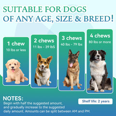 WEALLIN dog joint supplement bottle on shelf for convenient care