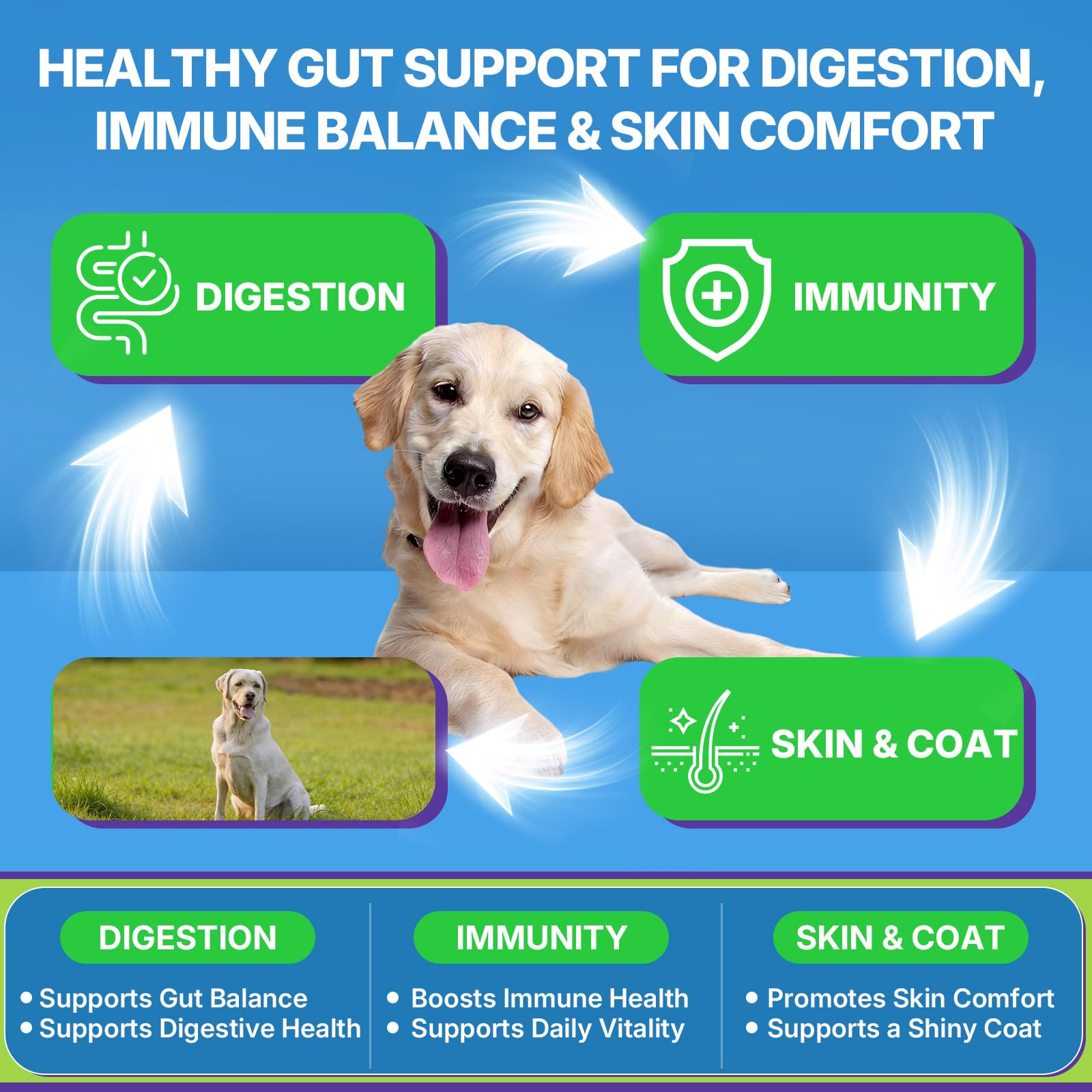 WEALLIN dog probiotic chews chicken flavor appealing to picky eaters.