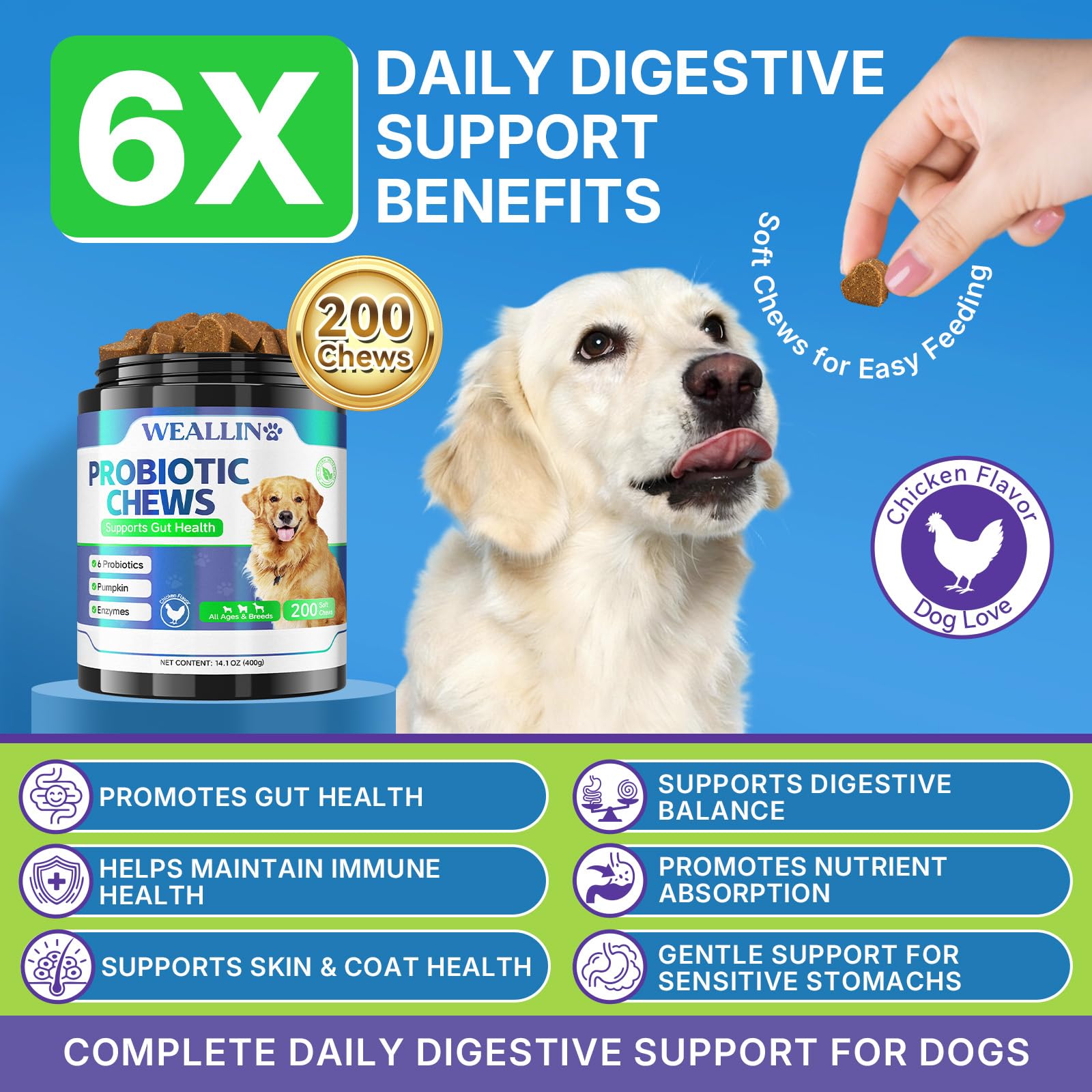 WEALLIN dog probiotic chews jar closeup emphasizing gut health benefits.