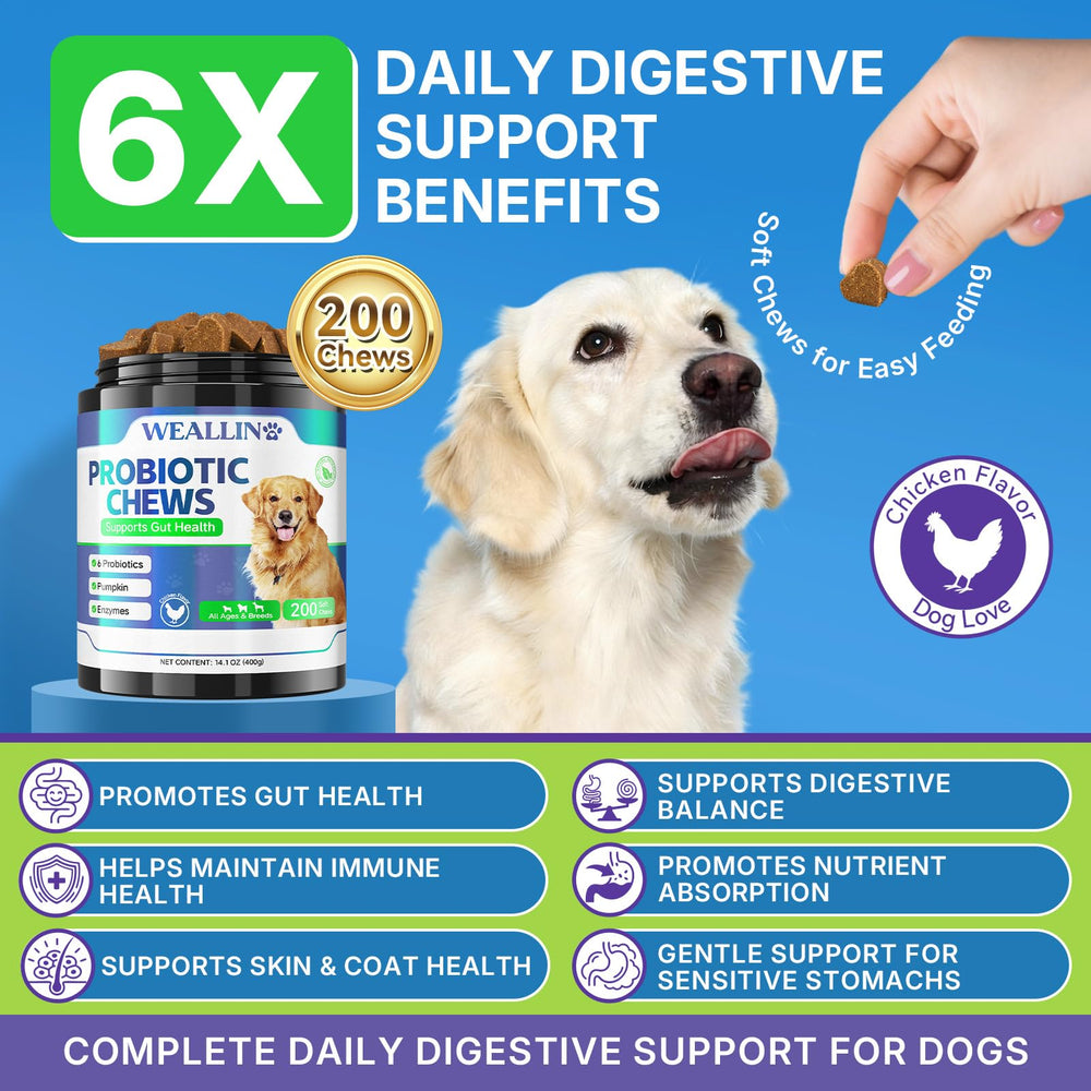WEALLIN dog probiotic chews jar closeup emphasizing gut health benefits.