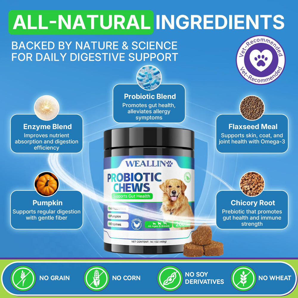 WEALLIN dog probiotic chews on floor ready for daily use.