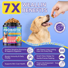 WEALLIN Dog Probiotics Chews Chicken Flavor entice picky dogs.
