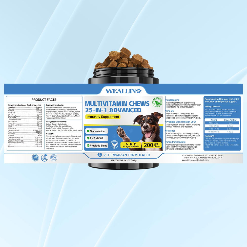 WEALLIN Dog Vitamins activity-ready scene for daily walks and playtime