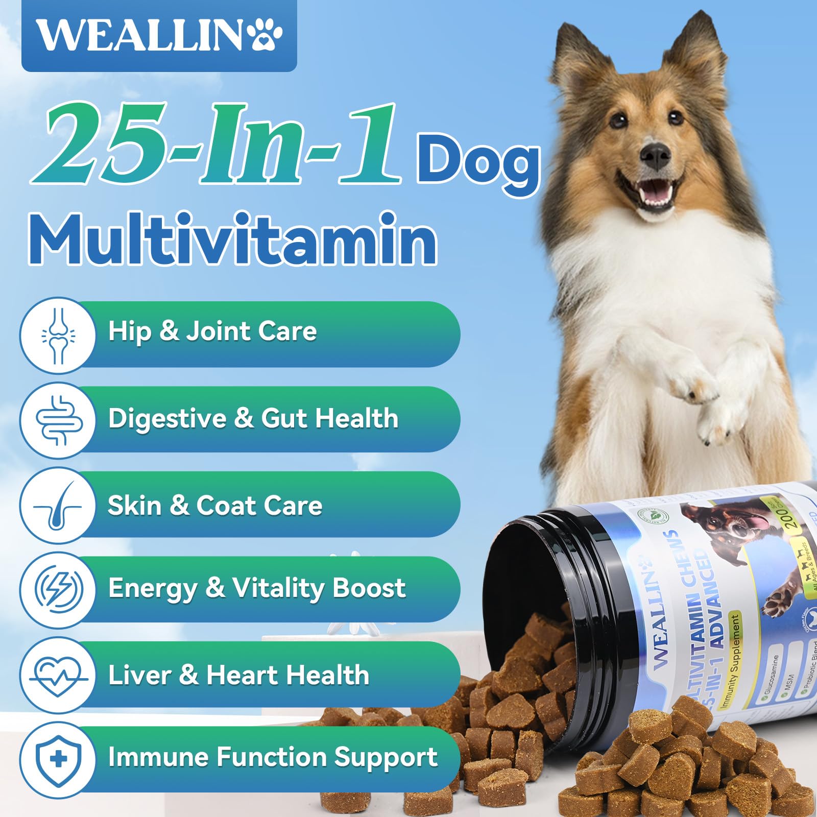 WEALLIN Dog Vitamins chewables with tasty chicken flavor for digestion and energy