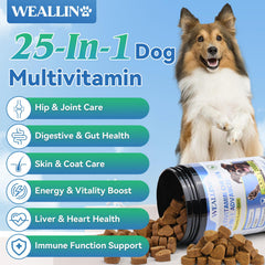 WEALLIN Dog Vitamins chewables with tasty chicken flavor for digestion and energy