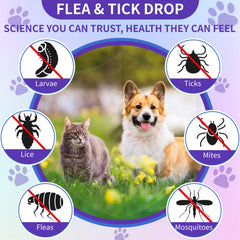 WEALLIN flea and tick drops cat portrait with gentle formula