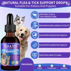 WEALLIN drops for dogs on a paw-friendly pose for daily care