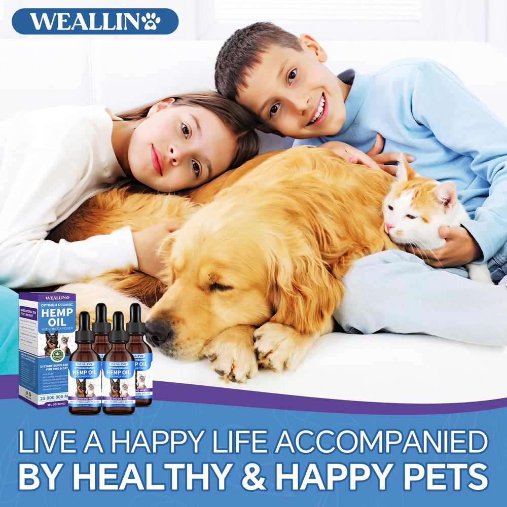 WEALLIN hemp oil packaging front highlights product and four-pack value