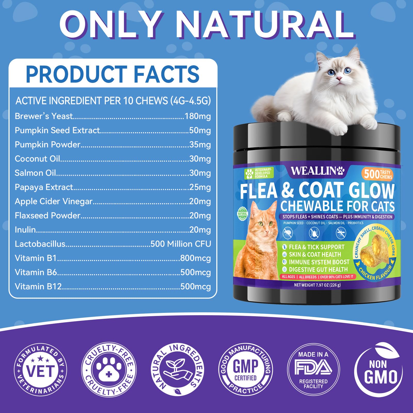 WEALLIN kittens-seniors-feeding-guide image illustrates universal feeding guidance.