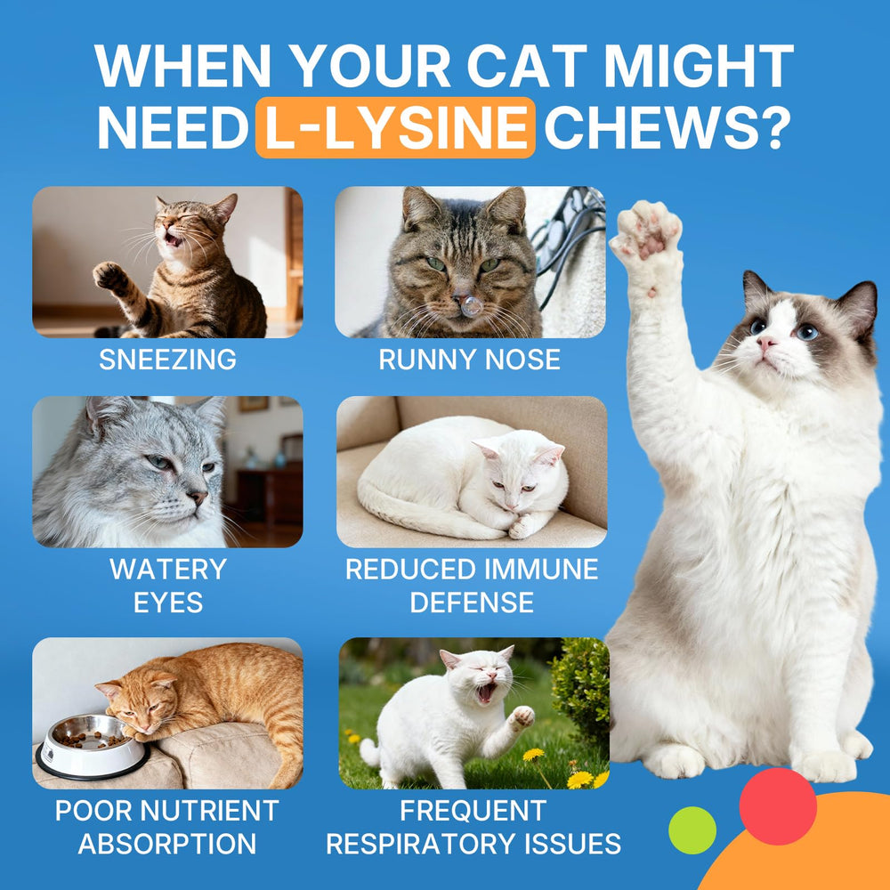 WEALLIN L-Lysine chews for cats, immune support with colostrum and beta-glucan.
