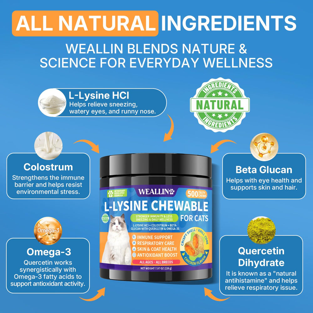 WEALLIN L-Lysine chews for cats, multi-cat pack, shared daily immune care.