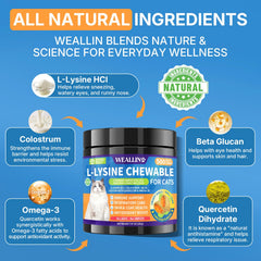 WEALLIN L-Lysine chews for cats, multi-cat pack, shared daily immune care.