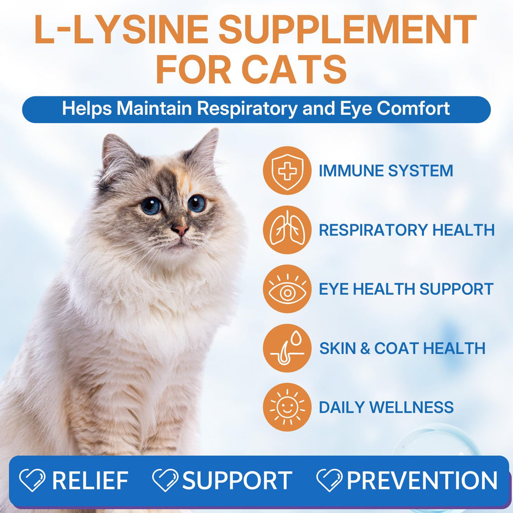 WEALLIN L-lysine cat dropper focuses on convenient mixing into meals daily