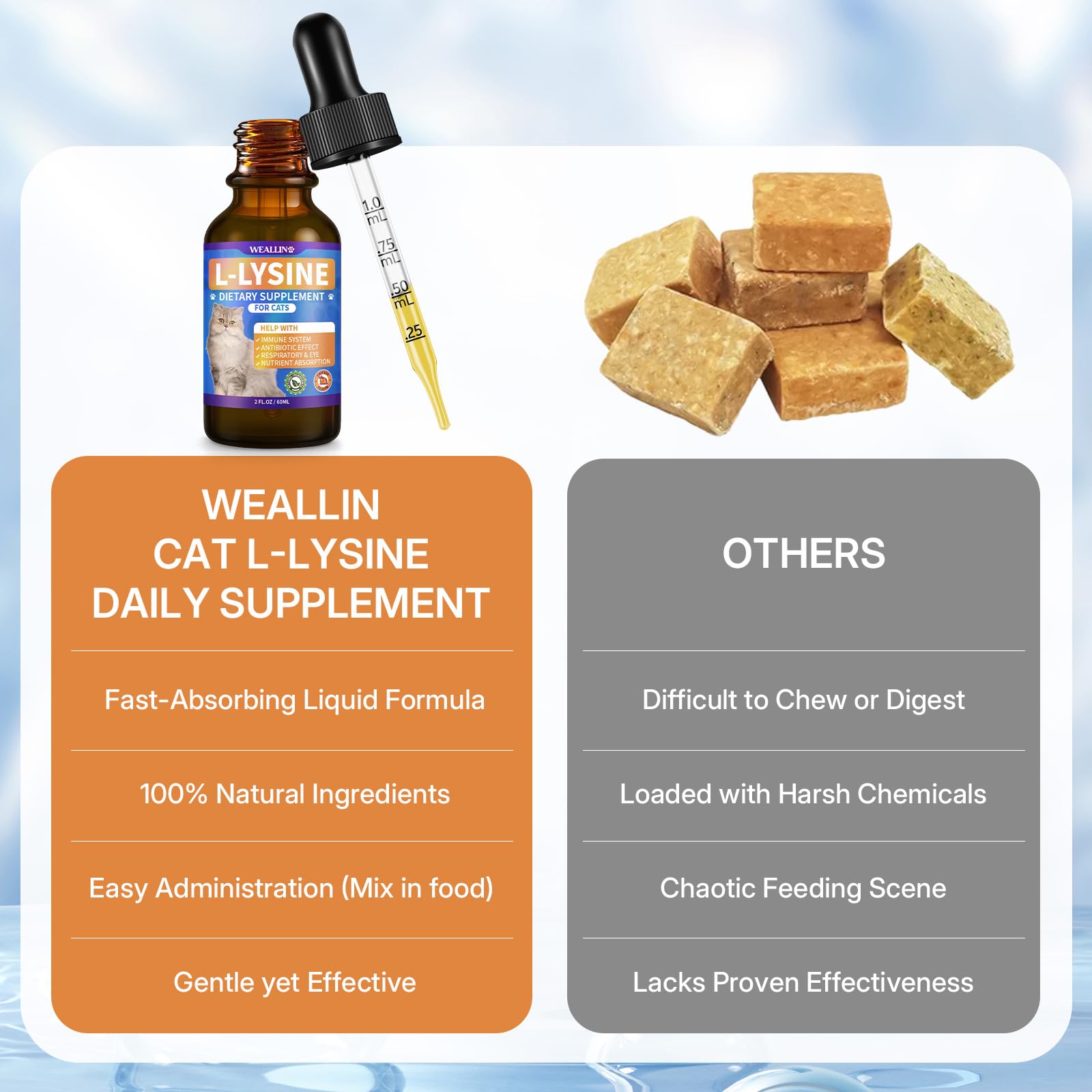 WEALLIN L-lysine cat eye function visual hints at daily eye support
