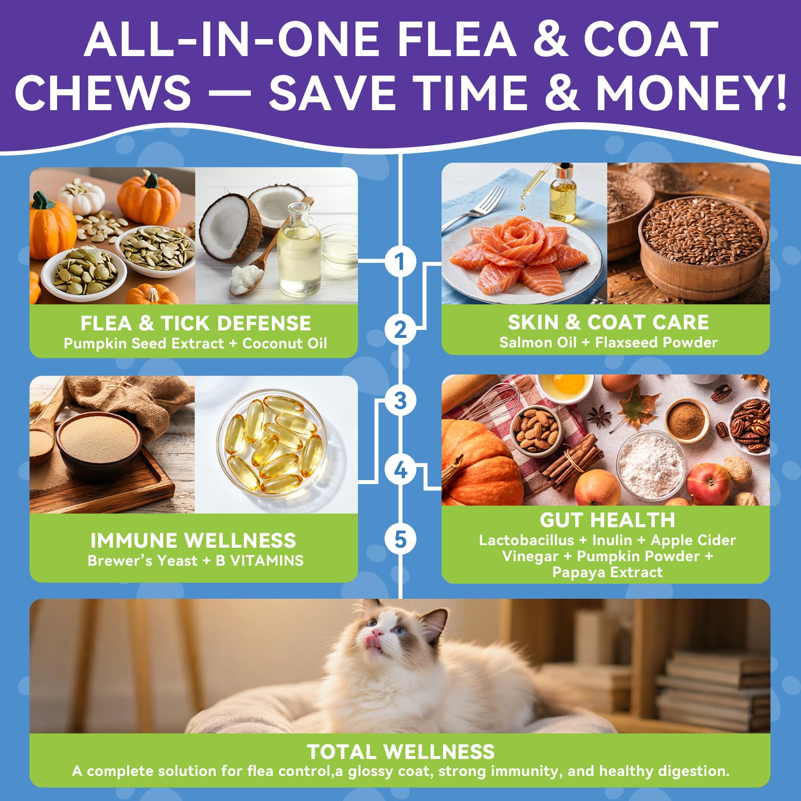 WEALLIN natural-ingredients-pumpkin-seed-oil showcases wholesome components for balanced nutrition.