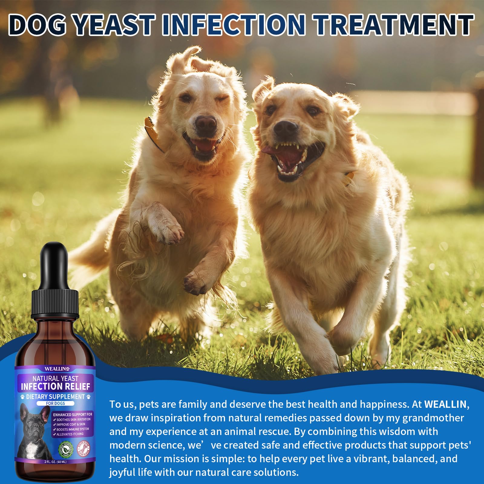 WEALLIN owner administering drops to dog for comfort.