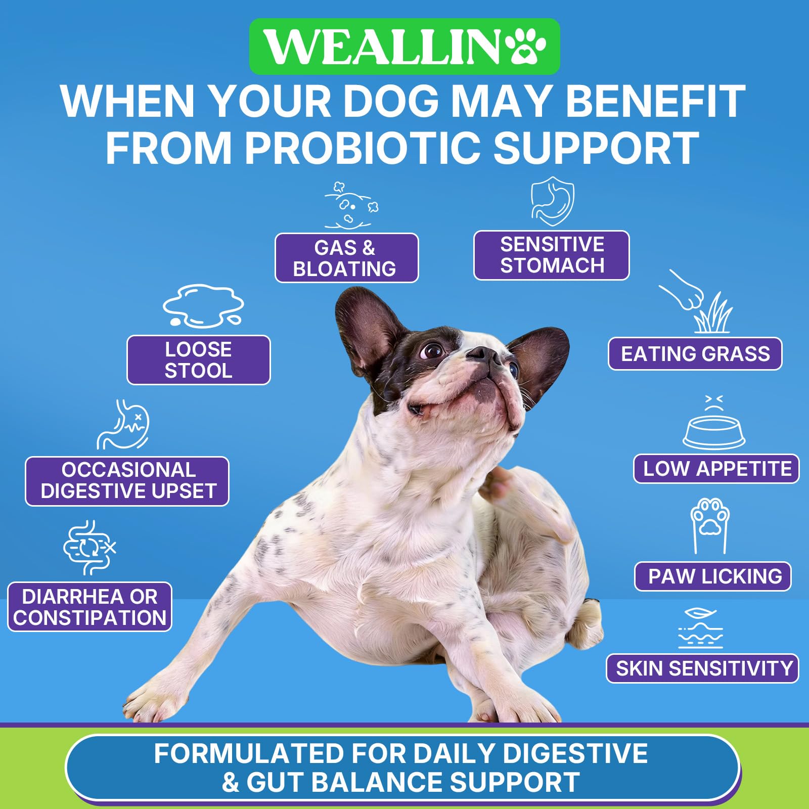 WEALLIN packaging front shows digestive support claim for dogs.
