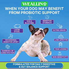 WEALLIN packaging front shows digestive support claim for dogs.