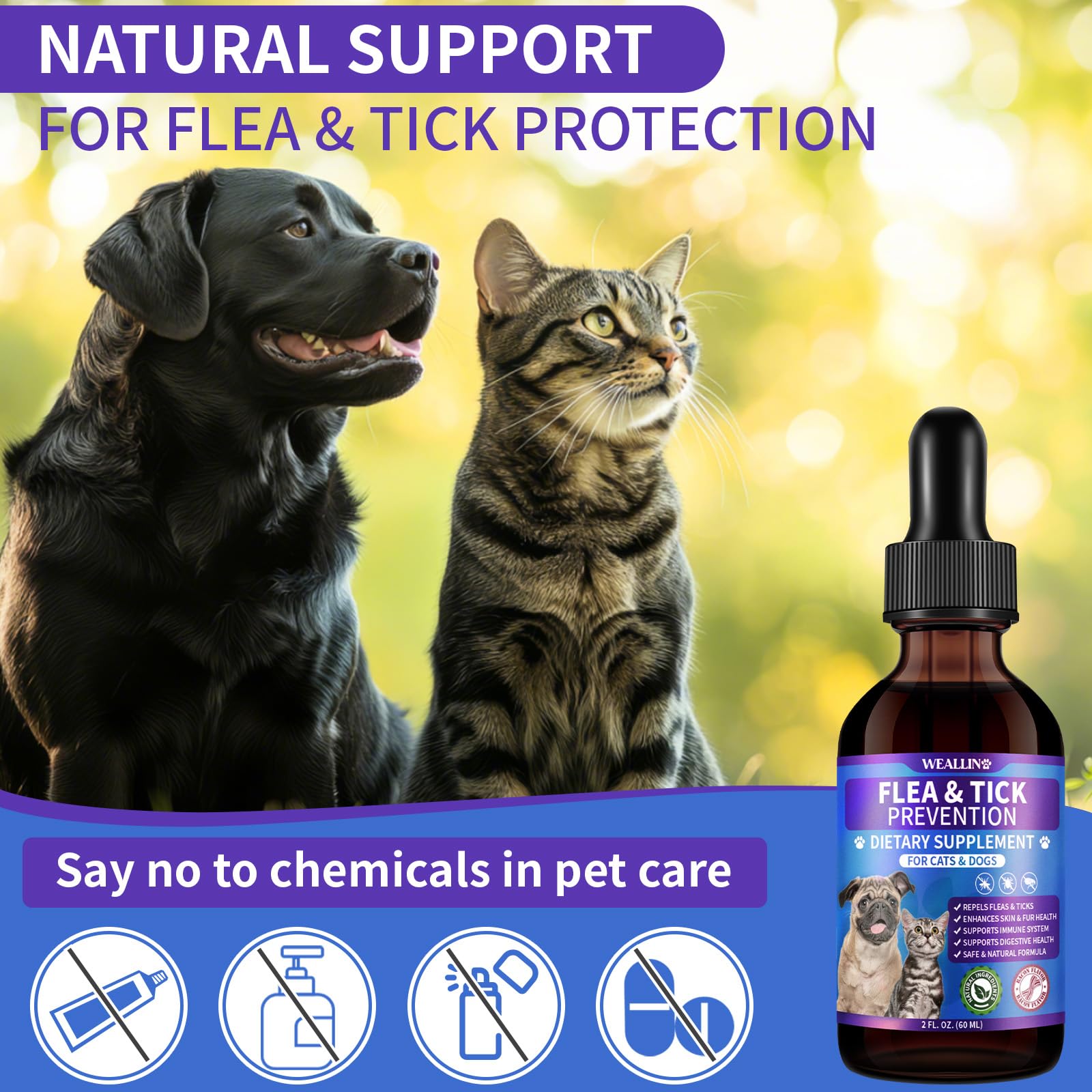 Safe, plant-based care suitable for all breeds and ages