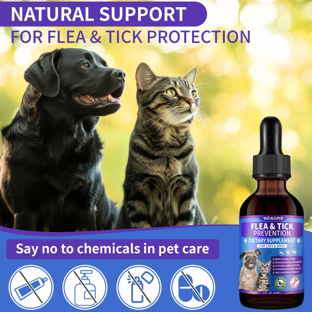 Safe, plant-based care suitable for all breeds and ages