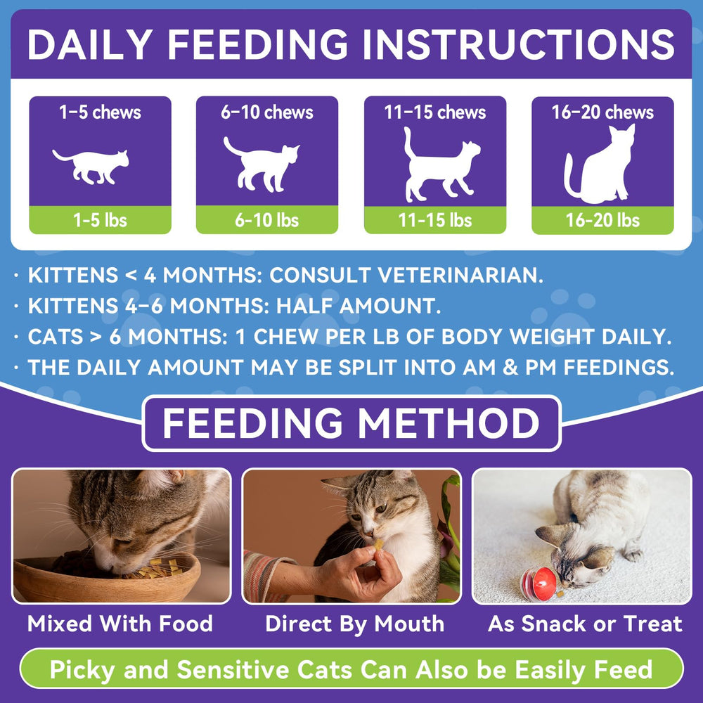WEALLIN salmon-oil-coat-shine demonstrates glossy fur as part of daily feeding.