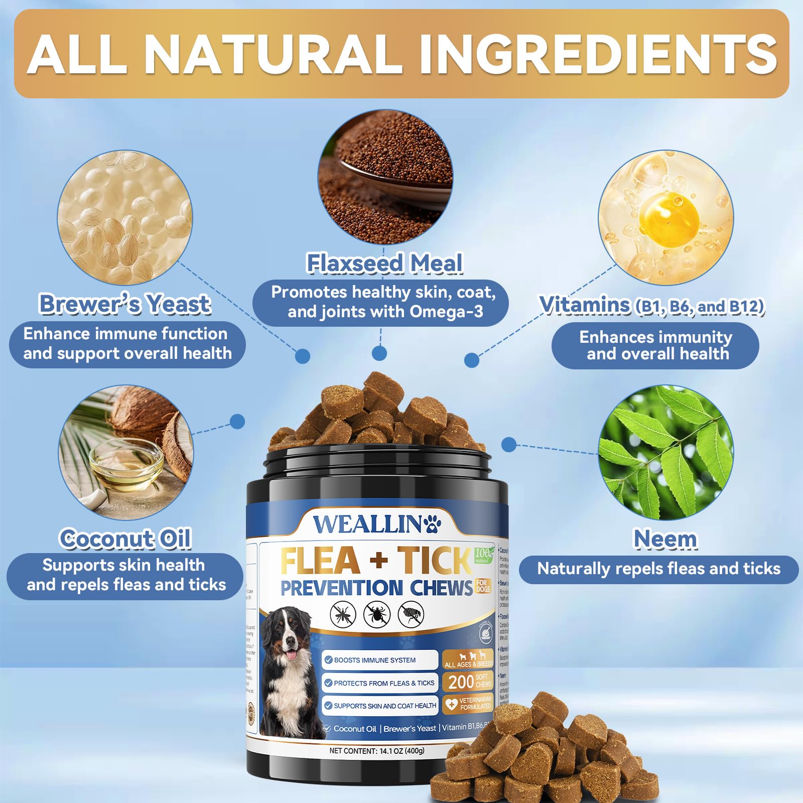 WEALLIN serving chew for dogs, simple treat-based dosing.