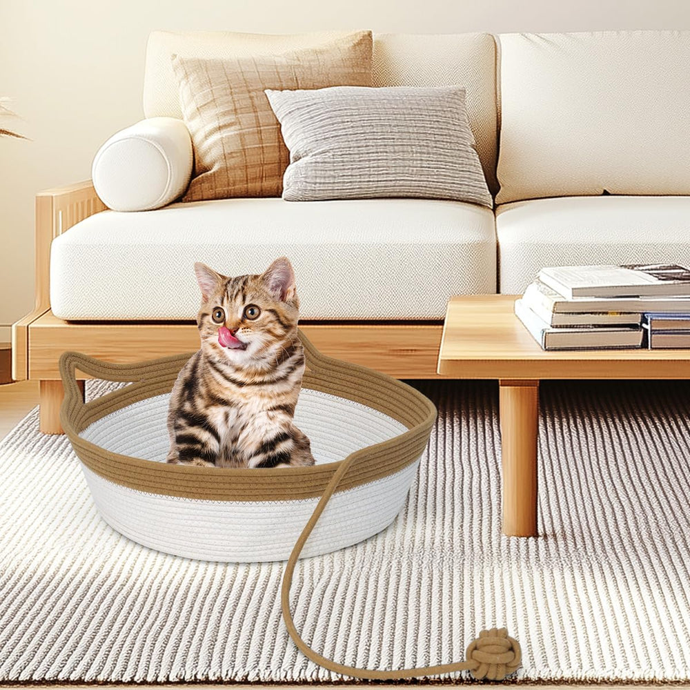 WEAVELYRICS foldable pet bed returning to shape after transport.