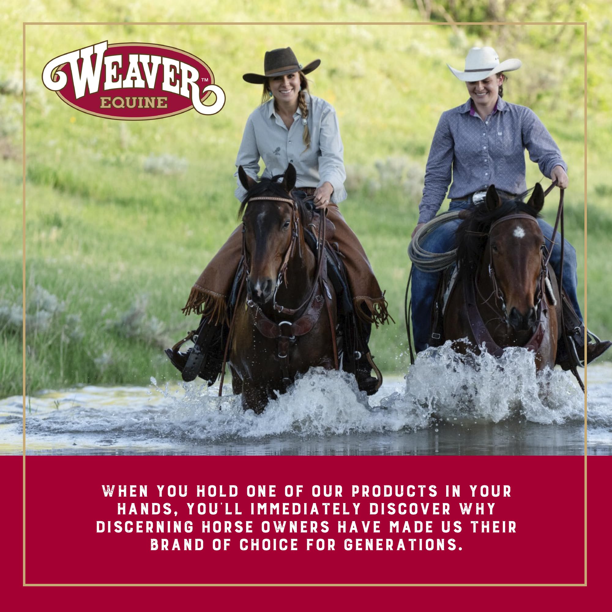 Weaver Equine sweat scraper and coarse curry combo speeds dirt and sweat removal