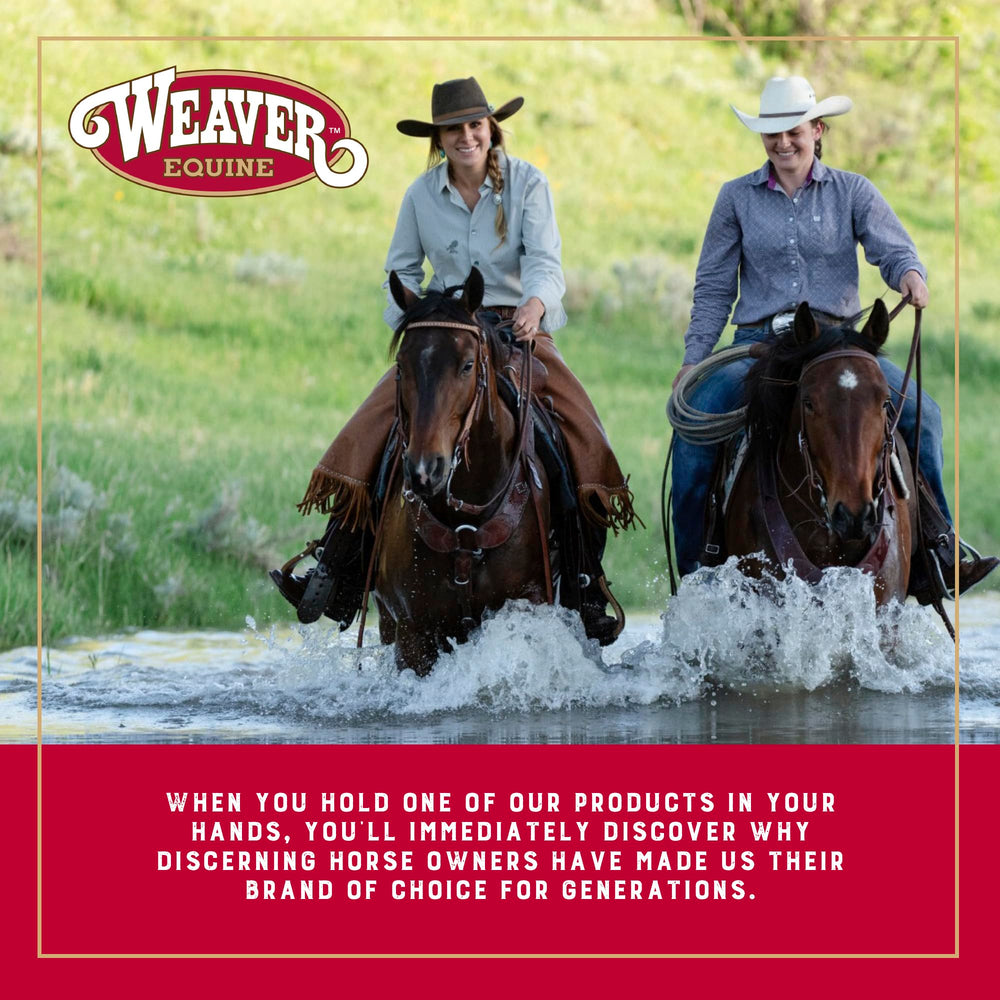 Weaver Equine sweat scraper and coarse curry combo speeds dirt and sweat removal