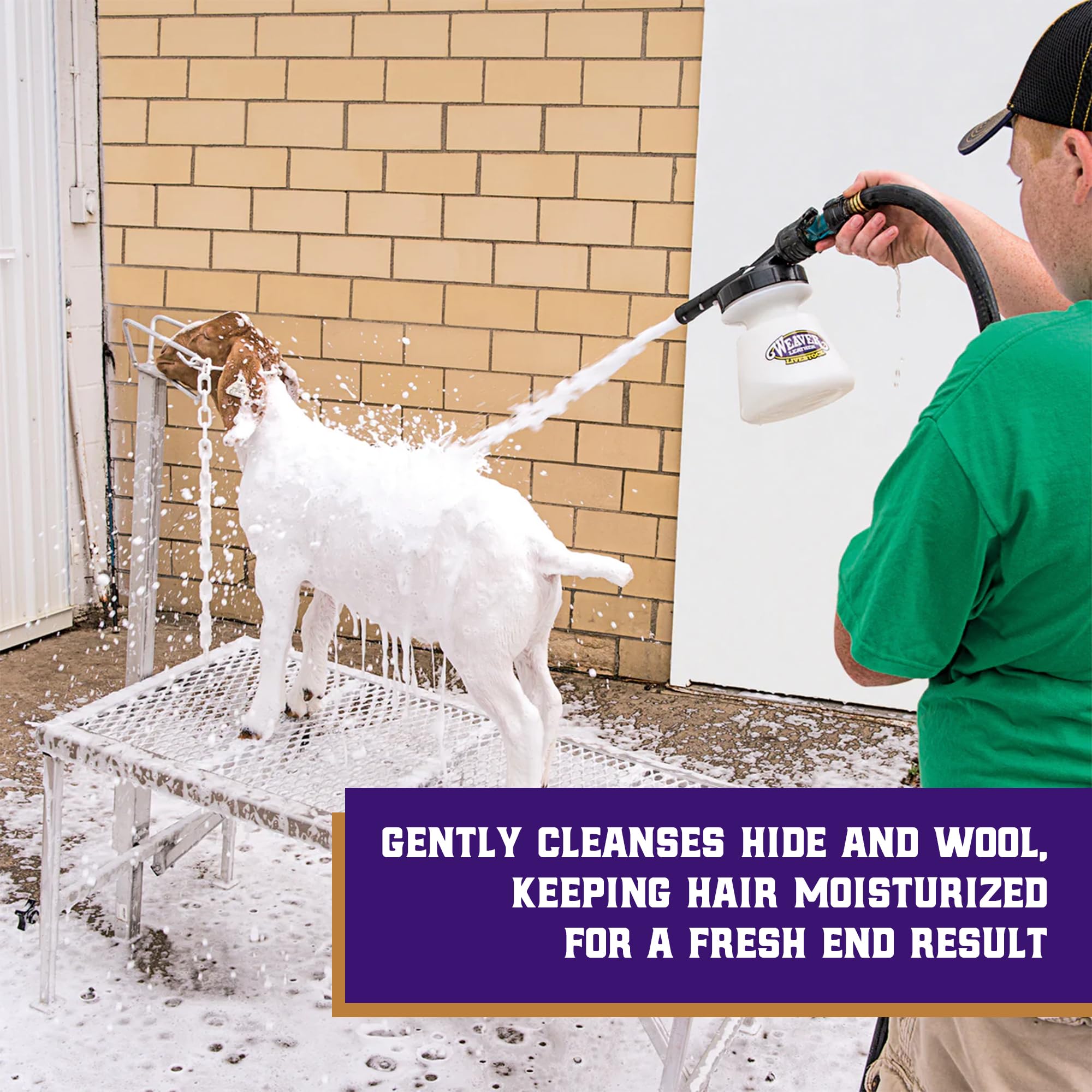 Weaver Leather Livestock Mild Foam Shampoo foamer application for better lather and quick cleanup.