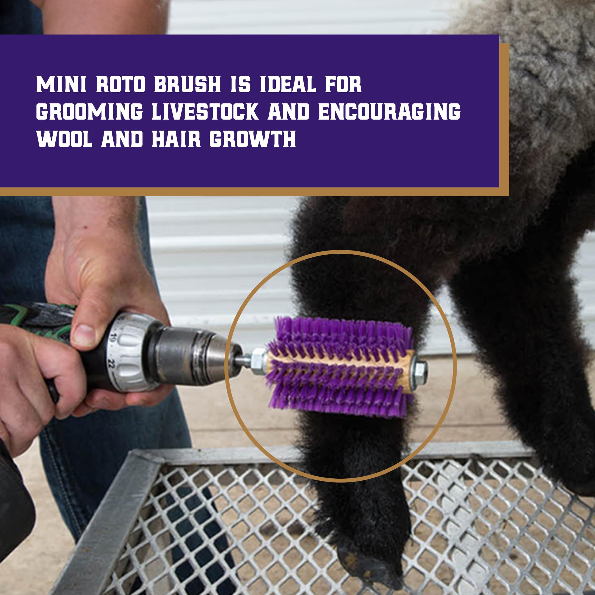 Weaver Leather Mini Roto Brush focusing on goat hair to lift leg wool.