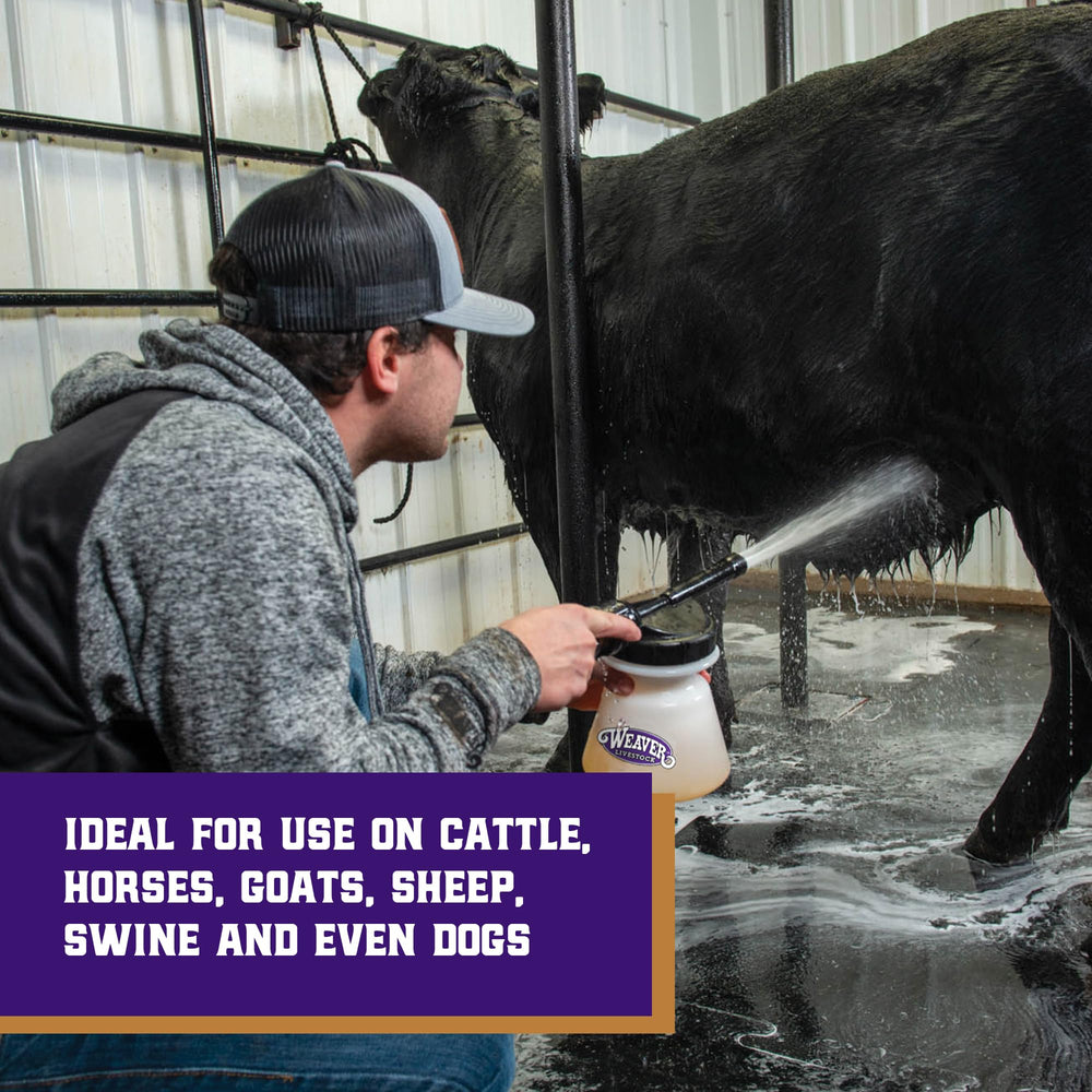 Weaver Livestock Foamer on-dry-hair application covers hard-to-clean areas.