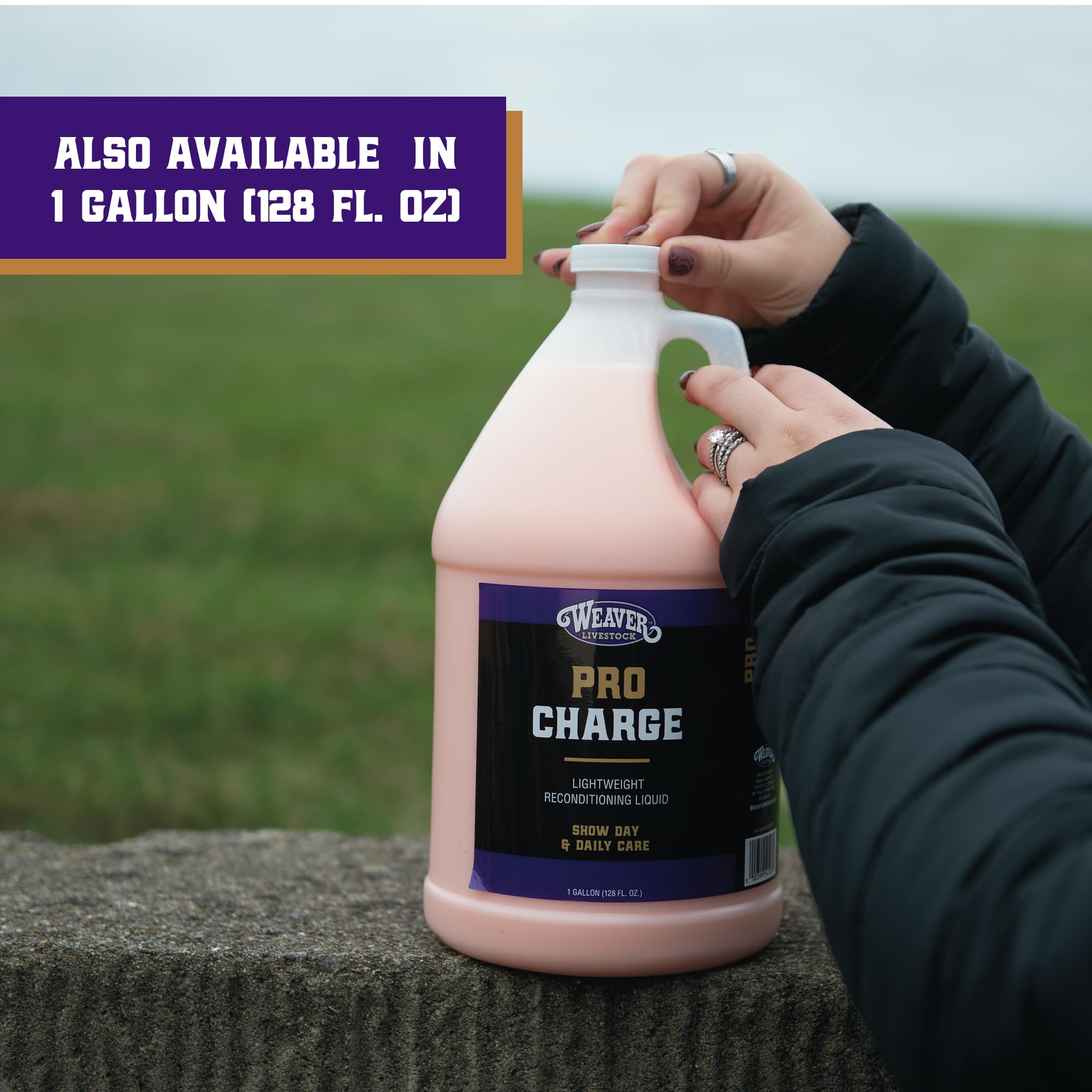 Weaver Livestock ProCharge used daily for soft, manageable coats