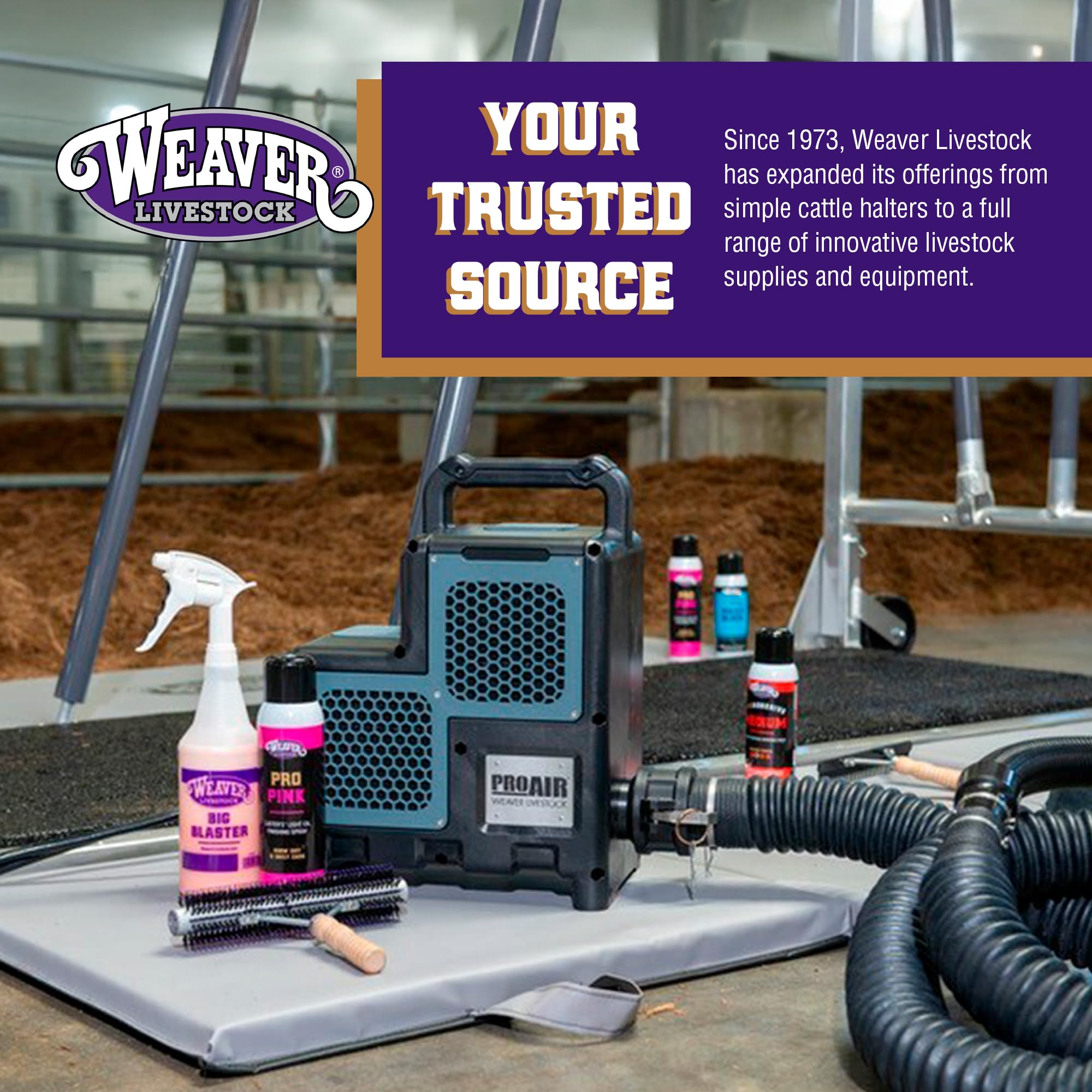 Weaver Livestock ProCharge applied during grooming for smoother coats