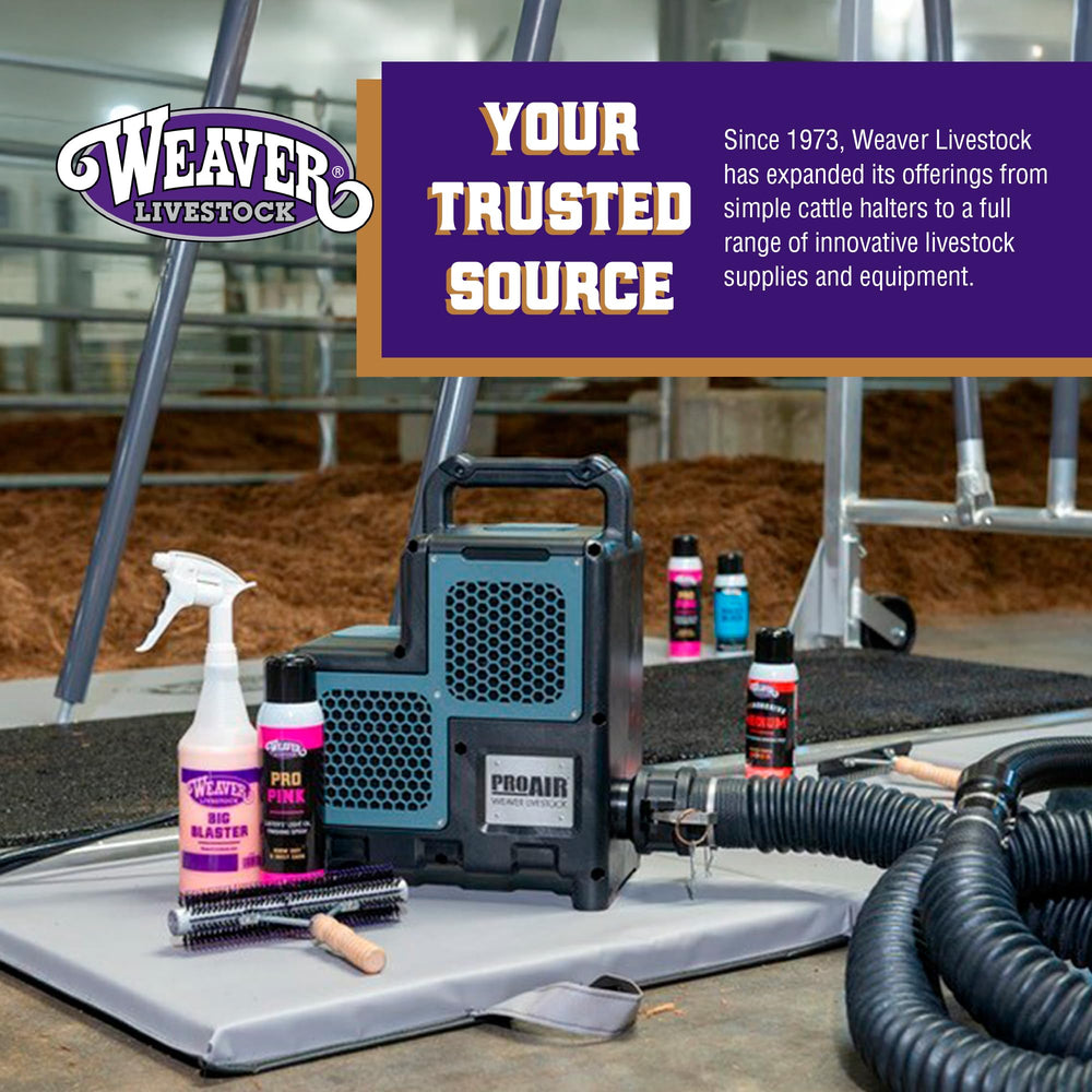 Weaver Livestock ProCharge applied during grooming for smoother coats