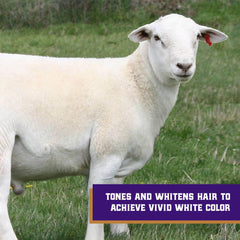 Weaver Livestock Whitening Foam Shampoo back label describing gentle coconut cleansers for frequent use.