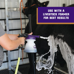Weaver Livestock Whitening Foam Shampoo on white-coated cattle after wash.