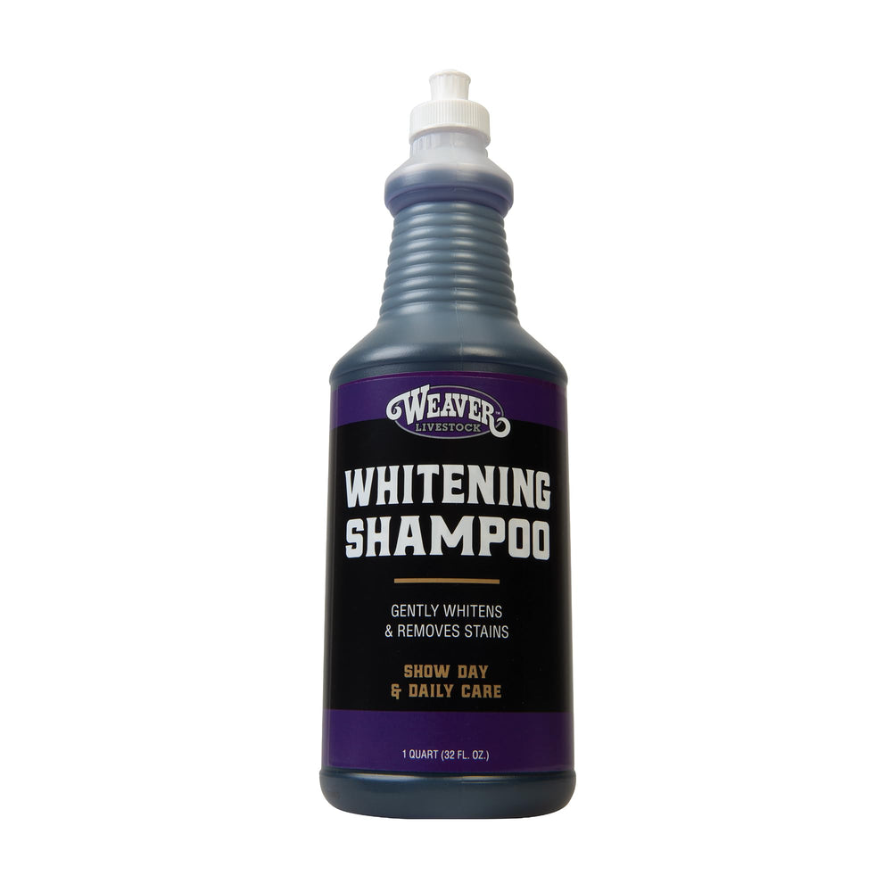 Weaver Livestock Whitening Shampoo bottle pour demonstrates easy application for even whitening