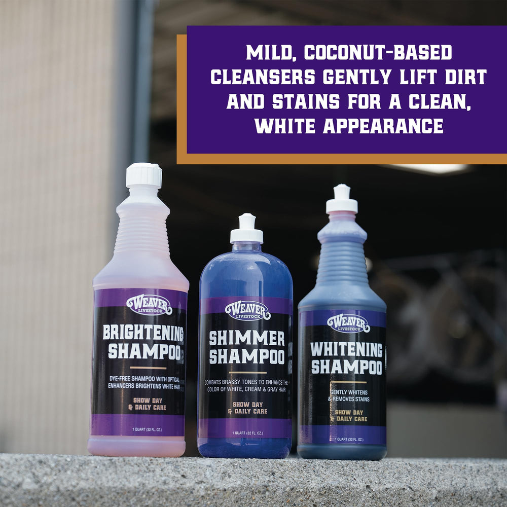 Weaver Livestock Whitening Shampoo brightening action on a white coat with noticeable sheen