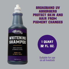 Weaver Livestock Whitening Shampoo foam coat close-up shows brightening and coat care