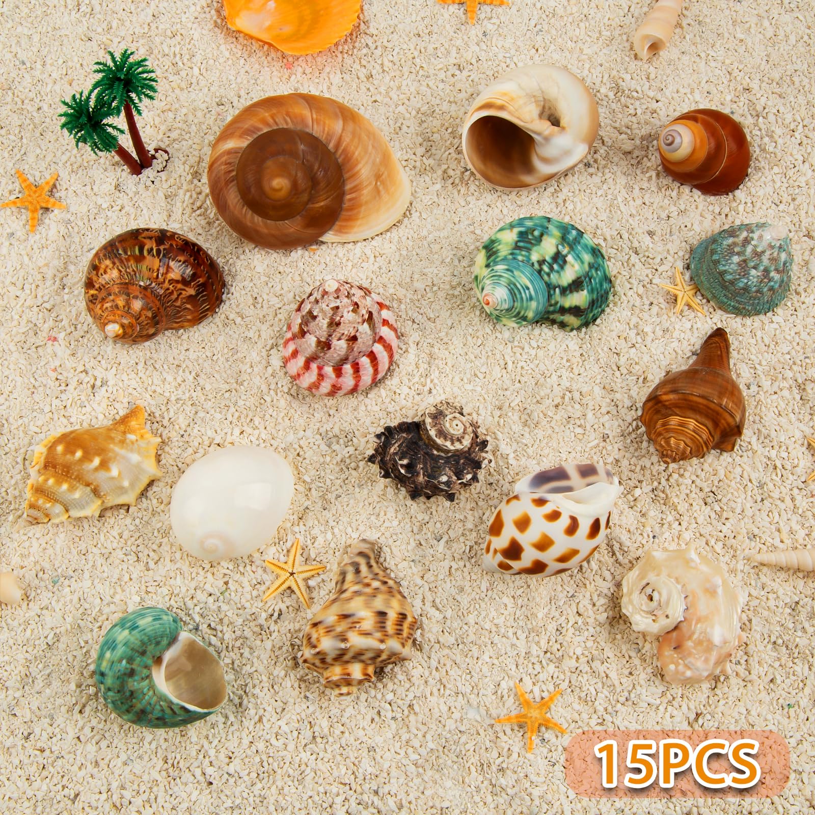 WeDoSoy varied-sizes-shells for easy hermit crab shell swaps and secure fits