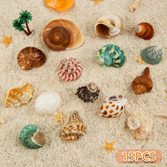 WeDoSoy varied-sizes-shells for easy hermit crab shell swaps and secure fits