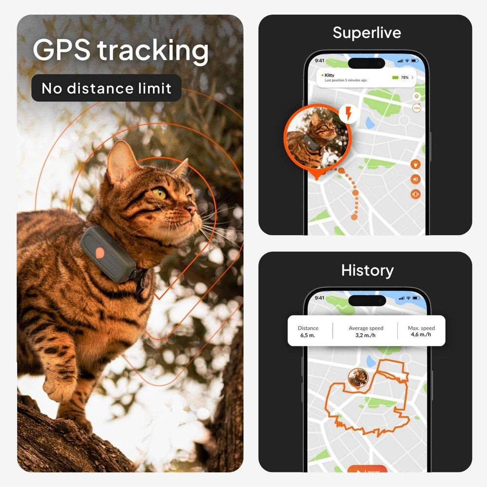 Weenect Cat XS real-time tracking map shows live location