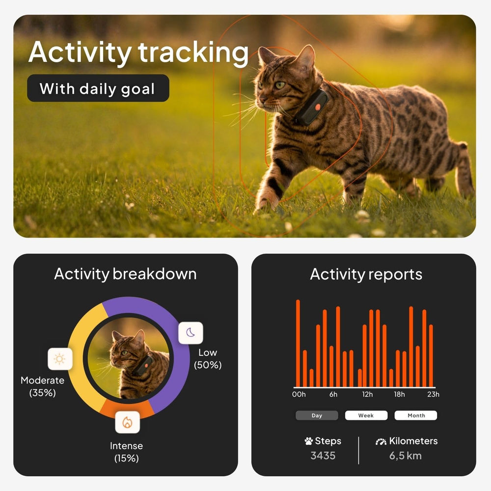 Weenect Cat XS smallest GPS tracker on the market