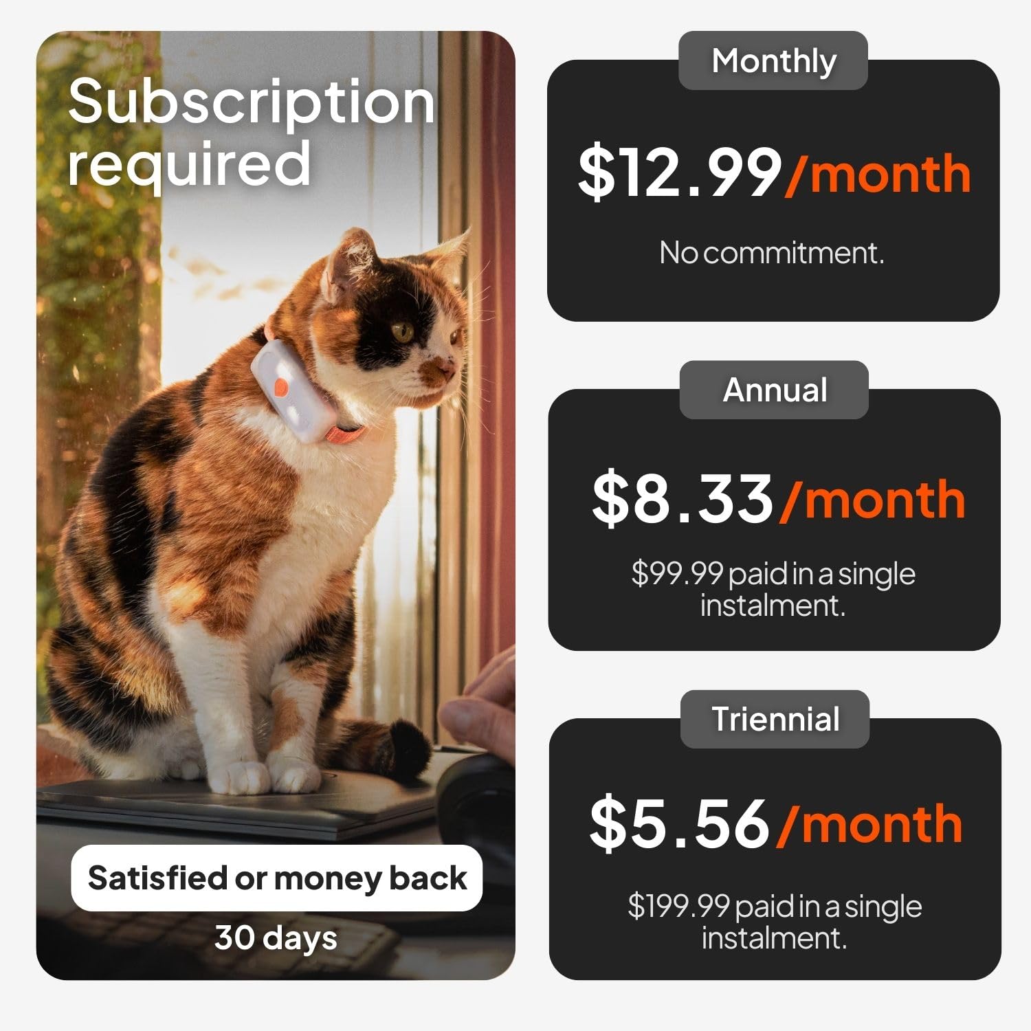 Weenect Cat XS territory analysis reveals where your cat spends time