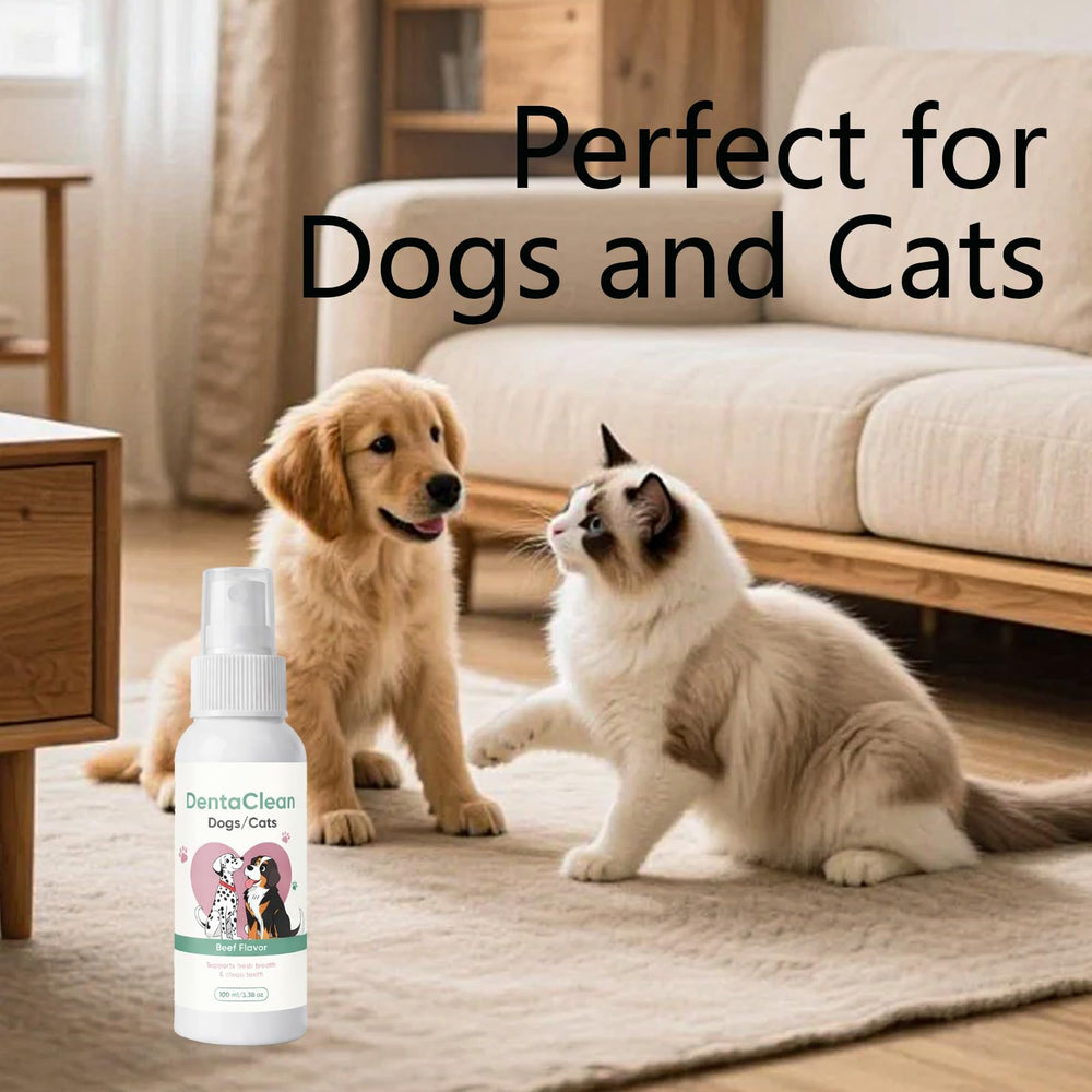 WEERSHUN Dentaclean suitable for dogs and cats in multi-pet homes