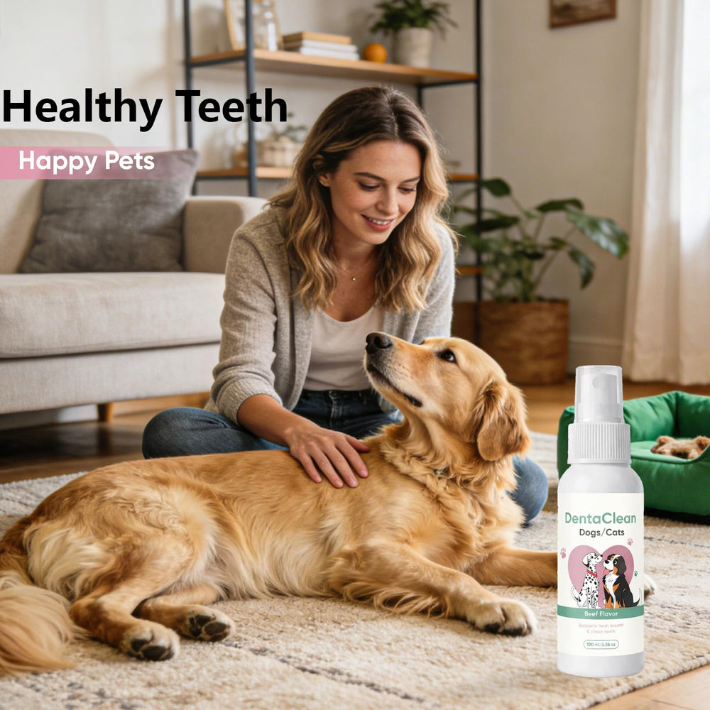 WEERSHUN Dentaclean no-brush daily spray for busy homes
