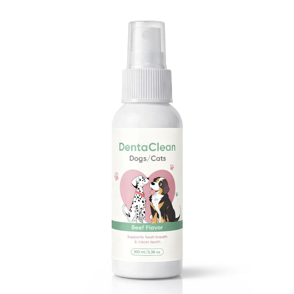WEERSHUN Dentaclean spray bottle shown for easy daily oral care