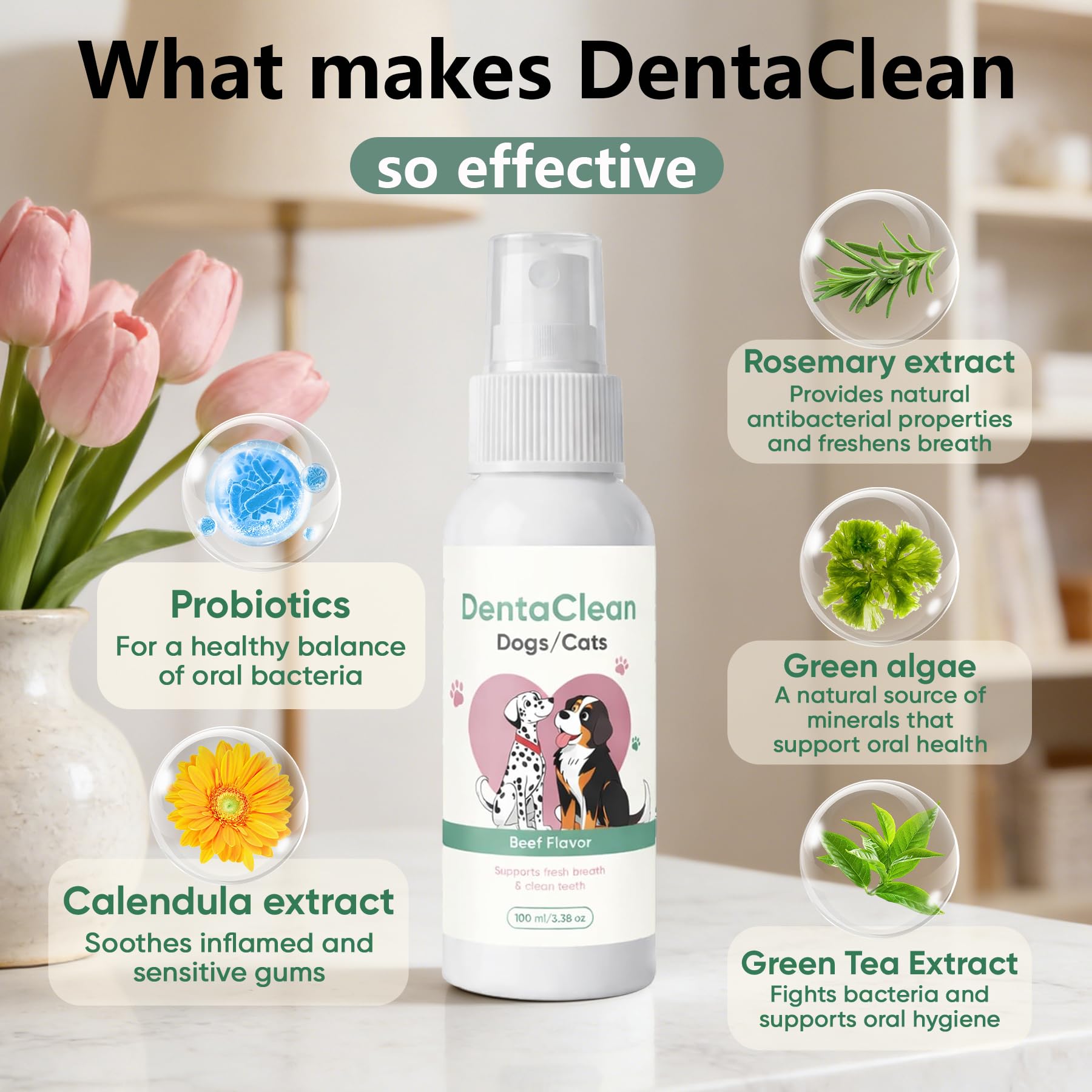 WEERSHUN Dentaclean spray-on-teeth demonstrates quick application and freshness